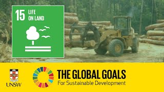 Sustainable Development Goal 15  Life on Land  Tracey Rogers [upl. by Phaidra746]