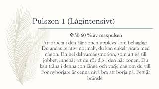 Kondition Puls amp Pulszoner  Träningslära 1 [upl. by Afira]