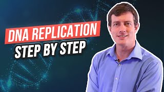 6 Steps of DNA Replication [upl. by Burnley]