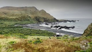 Macquarie Island pest eradication success [upl. by Norrabal]