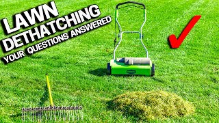 DONT DETHATCH Your LAWN Before Watching  Your Questions Answered [upl. by Enerol]