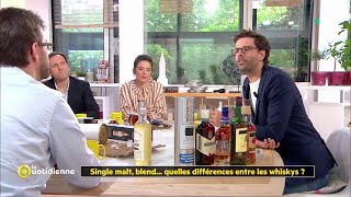 Single malt blend quelles différences entre les whiskys [upl. by Esihcoc]