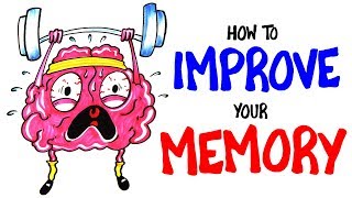 How To Improve Your Memory RIGHT NOW [upl. by Hawthorn]