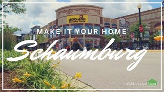 Neighborhood Facts  Schaumburg Illinois [upl. by Elmaleh]