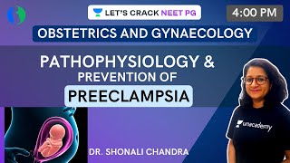 Preeclampsia Eclampsia in Pregnancy Nursing Review Pathophysiology Symptoms NCLEX [upl. by Filberte]