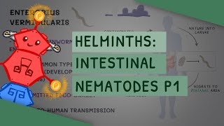 Helminths Intestinal Nematodes Part 1 features clinical importance diagnosis treatment [upl. by Estelle]