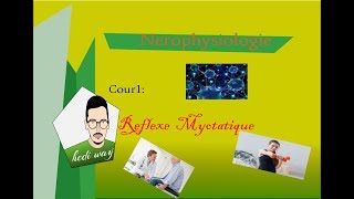 01 Le Reflexe myotatique  Neurophysiologie Bac Tunisie [upl. by Odlavu]