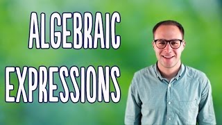 Algebraic Expressions Basics [upl. by Anaiad]