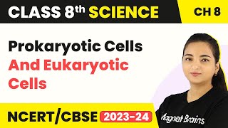 Class 8 Science Chapter 8  Prokaryotic Cells and Eukaryotic Cells  Cell Structure and Functions [upl. by Halihs]