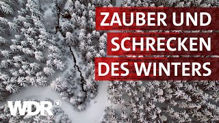 Wenn der Winter kommt  Heimatflimmern  WDR [upl. by Sella95]