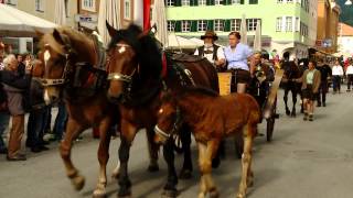 Norikerschau Lienz 2014 [upl. by Yenalem]