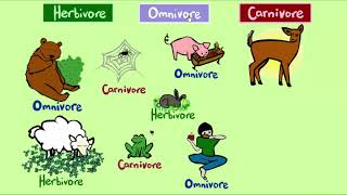 What do Animals Eat Game 1 Herbivore Omnivore or Carnivore Game  Sheppard Software [upl. by Daveta]