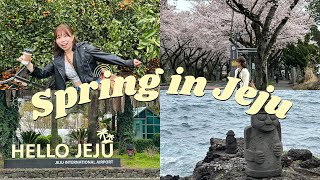 Spring in Jeju Island 🌸🌸 ✈️ Singapore to Jeju [upl. by Jameson]