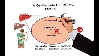 Pharmacology  DRUGS FOR HYPERLIPIDEMIA MADE EASY [upl. by Narhet447]