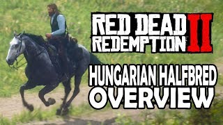 Hungarian Halfbred Overview  Red Dead Redemption 2 Horses [upl. by Bael971]