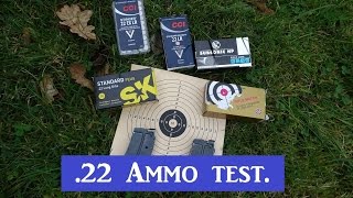 22lr Ammunition test CCI RWS and SK  Anschütz [upl. by Llehcnom]