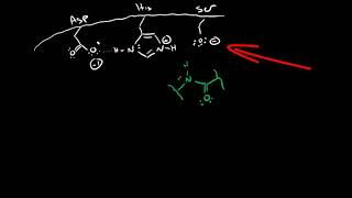 Serine Protease Mechanism [upl. by Meredithe]