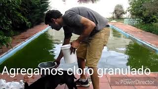 Como recuperar el agua de piscina alberca 1 [upl. by Willyt]