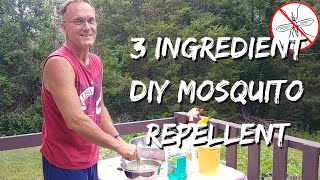 3 Ingredient DIY Mosquito Repellent [upl. by Raamal]