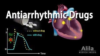 Antiarrhythmic Drugs Animation [upl. by Nadaha]