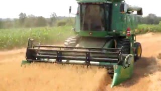 Harvesting Oat Crop [upl. by Assiral]