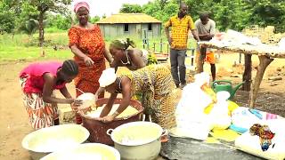 Pourquoi cultiver le manioc [upl. by Ikkin504]