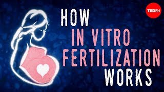 How in vitro fertilization IVF works  Nassim Assefi and Brian A Levine [upl. by Letney]