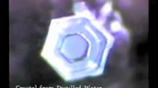 Dr Masaru Emoto Hado Water Crystals Full Documentary [upl. by Aim205]