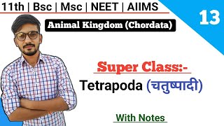 SuperClass Tetrapodaचतुष्पादी  Classification Of Chordates  Animal Kingdom  By Dadhich Sir [upl. by Laspisa]