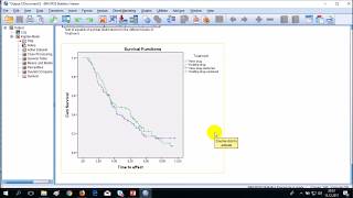 Survival Analysis KaplanMeier SPSS [upl. by Aenad]