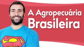 A AGROPECUÁRIA BRASILEIRA AGRICULTURA  PECUÁRIA  CANÁRIO PRODUTIVO DO CAMPO BRASILEIRO [upl. by Hardigg]