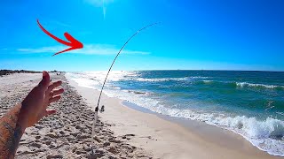 SUCCESSFUL Beach Fishing Tips for Gulf Shores AL [upl. by Hurd511]