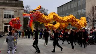 Dragon Dance for Chinese New Year 2020 [upl. by Aisyram695]