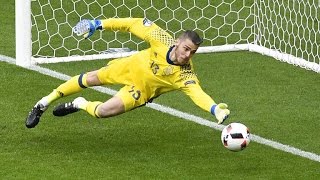 Best Goalkeeper Saves ● Euro 2016 [upl. by Jaye69]