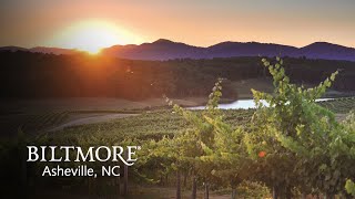 Virtual Tour Biltmore Winery amp Vineyards [upl. by Madel]