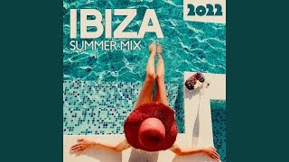 Ibiza Summer Mix 2022 [upl. by Ellehcor]