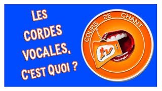 5Les cordes vocales cest quoi [upl. by Schouten]