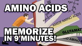 Memorize the 20 Amino Acids in 9 Minutes [upl. by Larcher363]