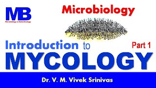 INTRODUCTION TO MYCOLOGY  Microbiology  Vivek Srinivas  Mycology Microbiology FungalMorphology [upl. by Seda]