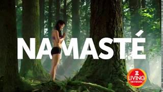 Namaste YogaStrengthen Your Mind amp Body [upl. by Quincy]