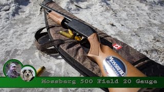 Mossberg 500 Field Pump Shotgun Review and Patterning [upl. by Jason550]