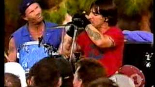 Red Hot Chili Peppers  The Zephyr Song Live VH1 BBQ  USA 2002 [upl. by Schlessel]