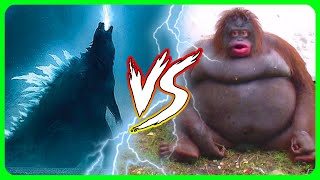 Godzilla vs Kong explained by an idiot [upl. by Llerraj]