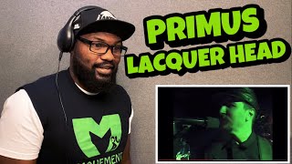 PRIMUS  LACQUER HEAD  REACTION [upl. by Arnon]