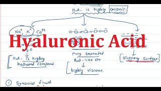 24 Hyaluronic Acid amp Hyaluronidase [upl. by Idna]