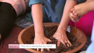 The Making of Argan Oil with Josie Maran [upl. by Bryant]