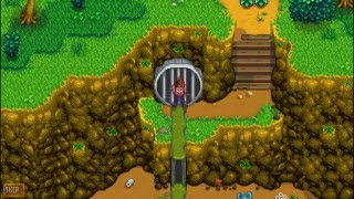 How To Unlock The Sewers  Stardew Valley [upl. by Derrej]