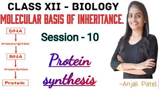 Class XII Biology  Molecular basis of inheritance  Protein Synthesis [upl. by Dnalyram]