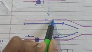 Repairing Damaged DNA by Recombination [upl. by Adien748]