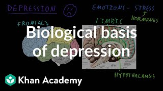 Biological basis of depression  Behavior  MCAT  Khan Academy [upl. by Akinuahs]